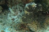 Curacao 04-12 066
